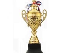 公司團(tuán)建禮品_金屬獎(jiǎng)杯定制